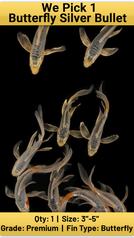 We Pick 1 Butterfly Silver Bullet [WP8-T53-SilverBulletBTF]