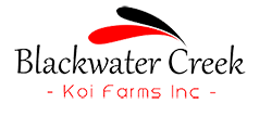 Blackwater Creek Koi Farms