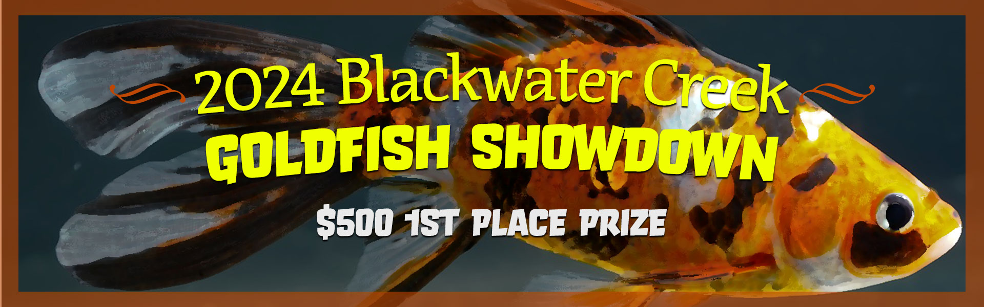 2024 Blackwater Creek Goldfish Showdown