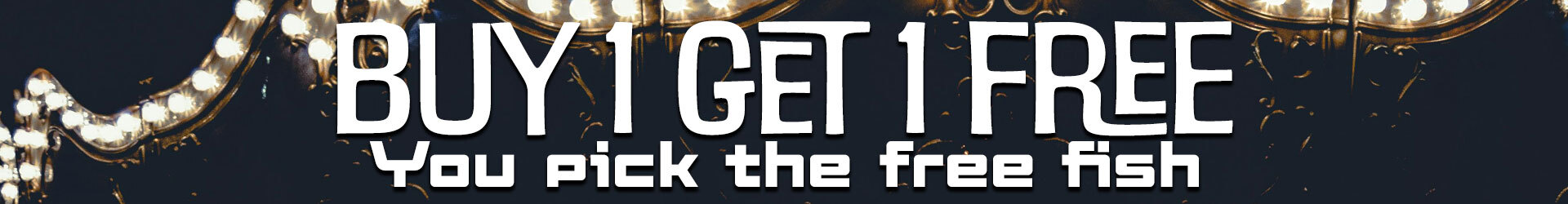 bogogoldfishbanner.jpg