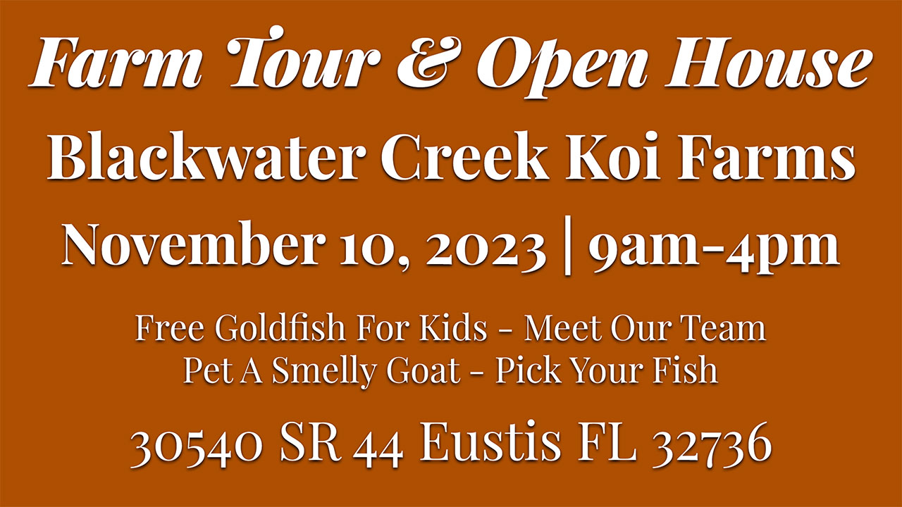 Open House Farm Visit November 10, 2023 Blackwater Creek Koi Farms
