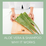 Aloe Vera Shampoo - Is It Beneficial?