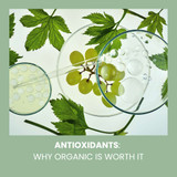 Antioxidants: Why Organic is Worth It
