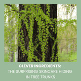 Clever Ingredients: The Surprising Skincare Hiding in Tree Trunks