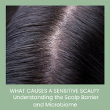 What Causes a Sensitive Scalp? Understanding the Scalp Barrier and Microbiome
