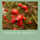 Rosehip Oil Benefits for Skin