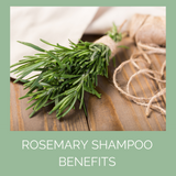 Why Rosemary Shampoo? - Benefits of Rosemary for the Hair and Skin