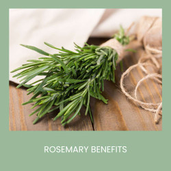Benefits of Rosemary for the Hair and Skin