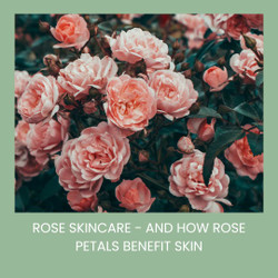 Rose Skincare -  And How Rose Petals Benefit Skin