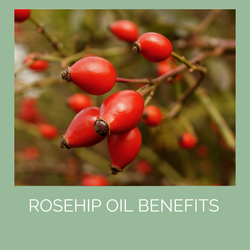 Rosehip Oil Benefits for Skin