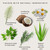 Herbal Shampoo