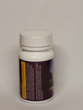 BODY BIOTICS™ SBO Probiotics Consortia™ / 10-Day Starter Pack / 14 Veggie Capsules / 500 mg