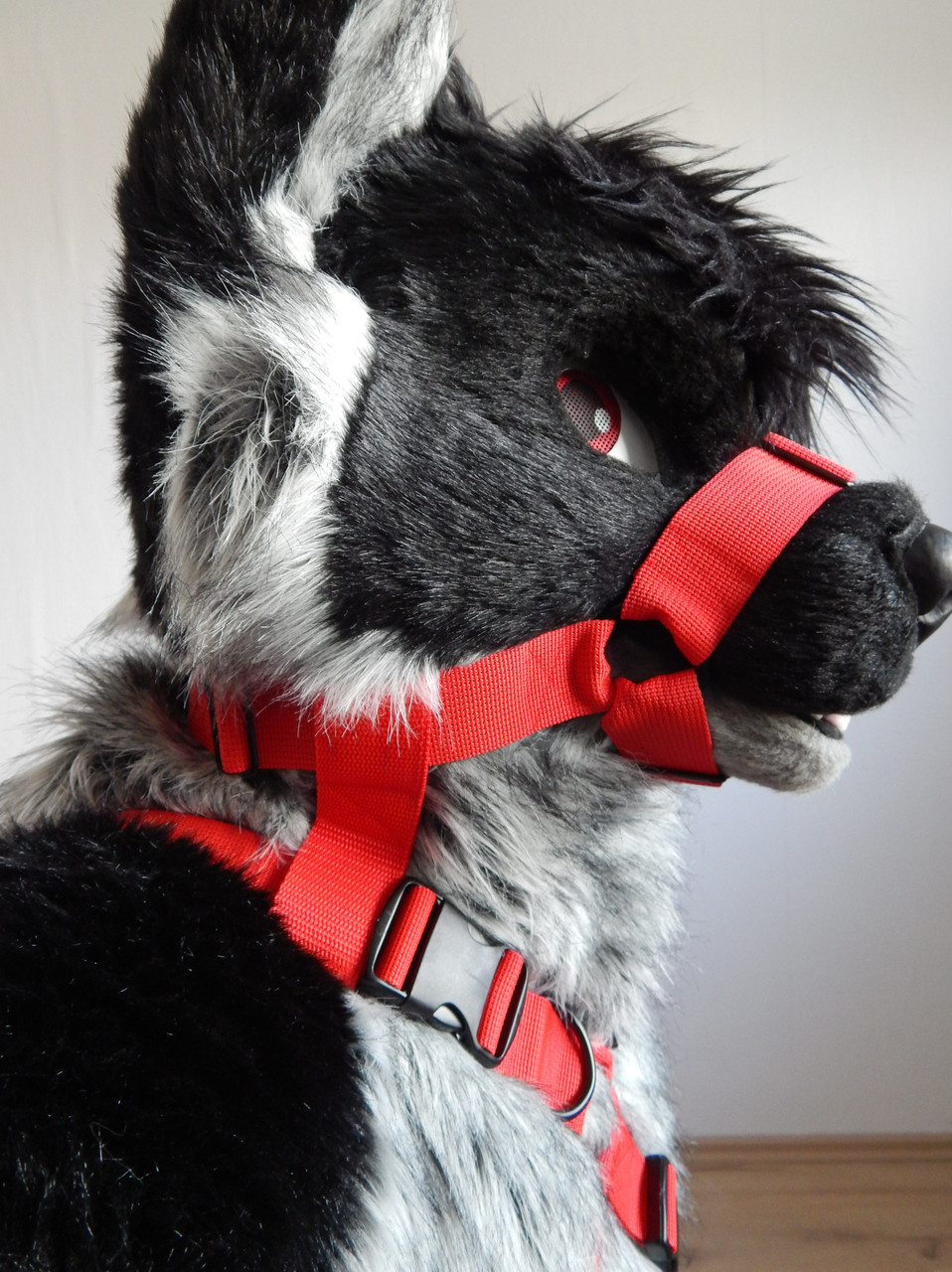 muzzle harness