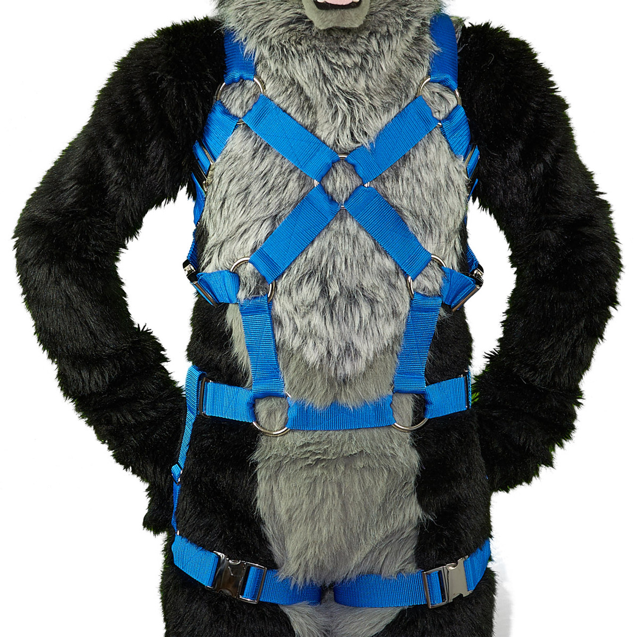 Hooded Chest Harness