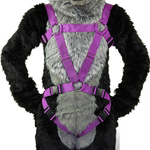 TRI-Harness with Leg-Straps