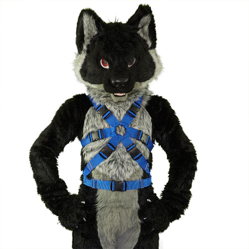 XTRA Full X-Harness