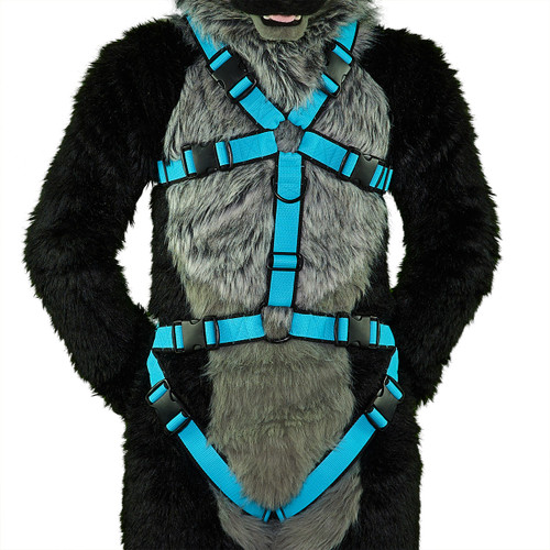 Standard Harness with Leg-Straps [2-colored]