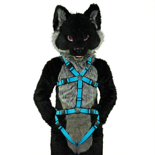 Standard Harness with Leg-Straps VER. 2 [2-colored]