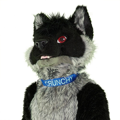 Fursuit Collar with Custom Embroidery
