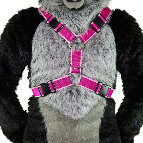 Y-Harness (Short Version) [2-colored]