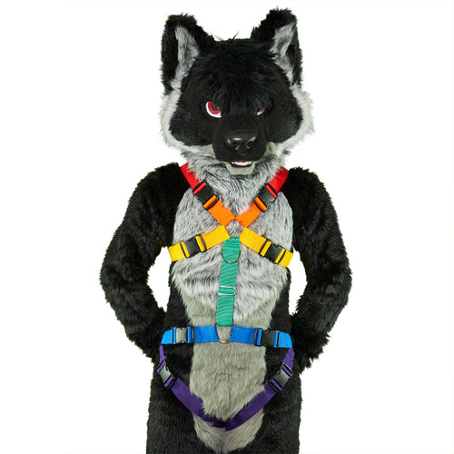 Standard Harness with Leg-Straps [Rainbow]