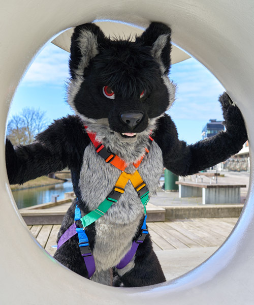 Subscribe to our newsletter