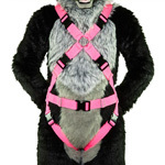 harness150.jpg