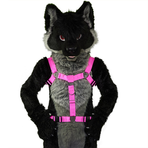 Reindeer Harness