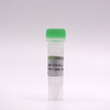 mNeonGreen-nAb™ Agarose 0.5ml