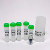 mNeonGreen-nAb™ Magnetic Agarose Kit (20 Reactions)