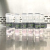 mScarlet3 mRNA EXPRESS™