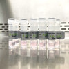 mNeonGreen Voltage Sensor mRNA EXPRESS™