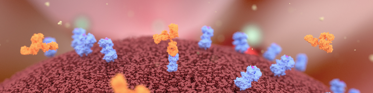 nAb - Nanoantibodies nAb - Nanoantibodies