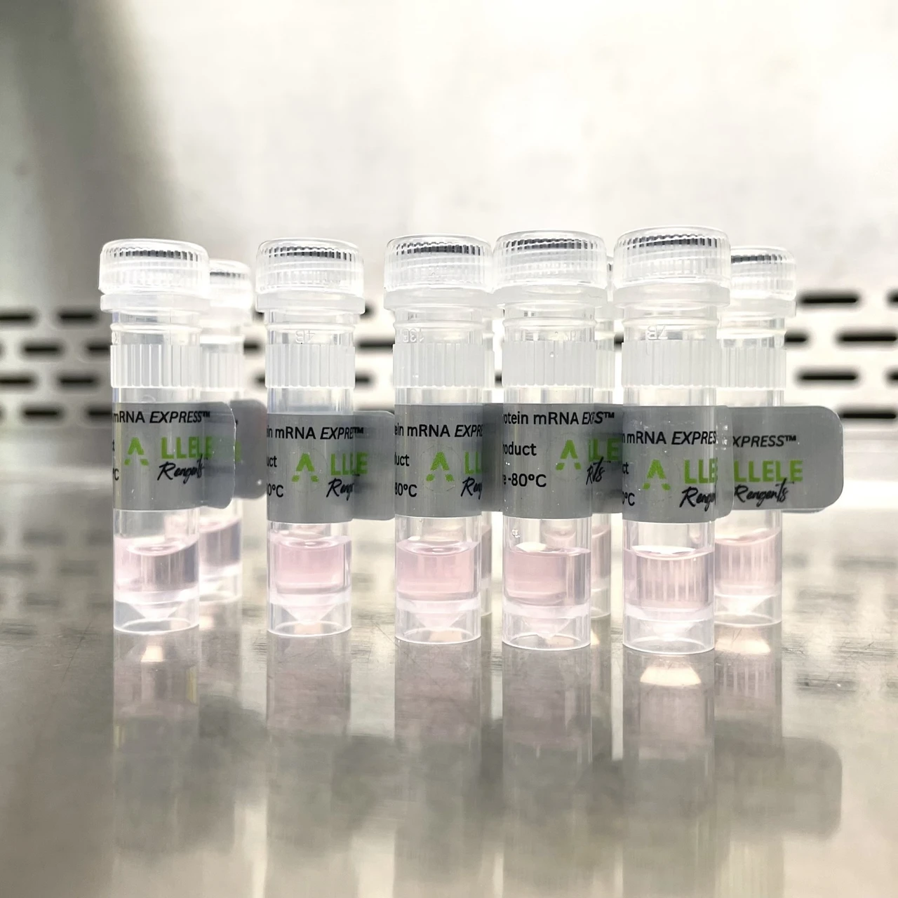 mScarlet3 mRNA EXPRESS™ - Allele Biotech