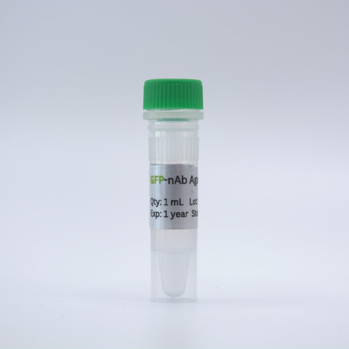 GFP-nAb™ Agarose 1ml