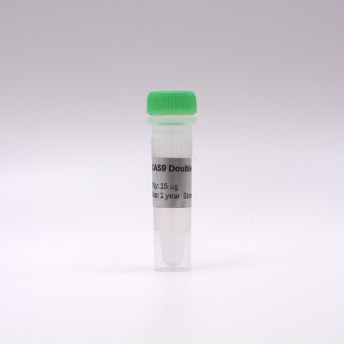 Cas9 Double Mutant (DM)