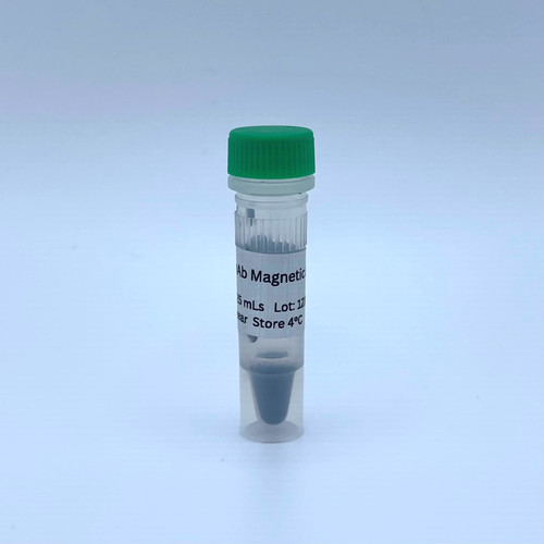 GFP-nAb Magnetic Agarose