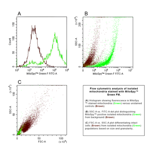 Mitochondrial Isolation Kit