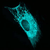 mTFP1 mRNA