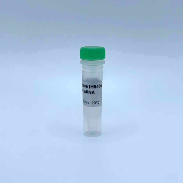 Cas9 nickase (H840a mutation) mRNA