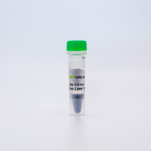 GFP-nAb™ Magnetic Agarose 0.5ml