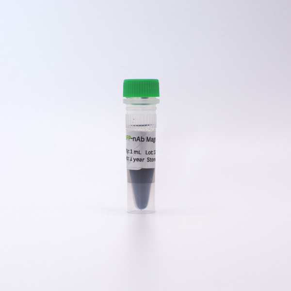 GFP-nAb™ Magnetic Agarose 1ml