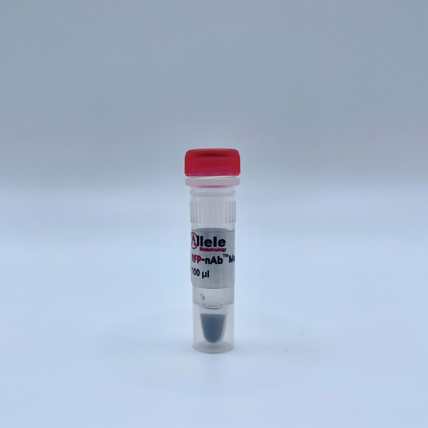 RFP-nAb™ Magnetic Agarose 0.25ml