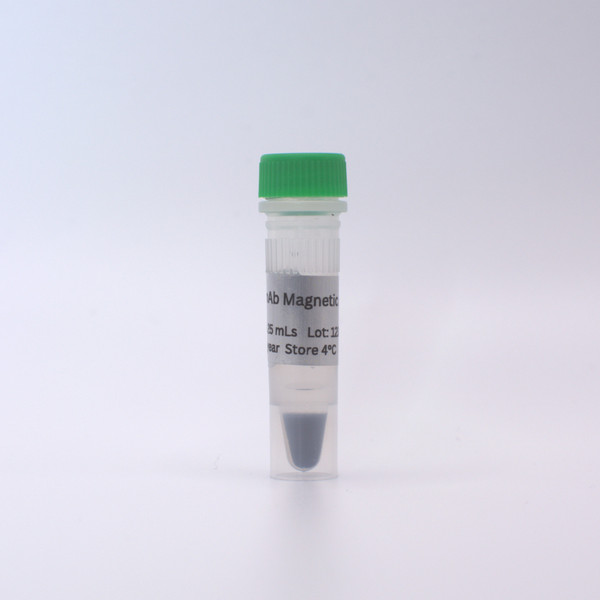 nAb™ Magnetic Agarose Control 0.5ml