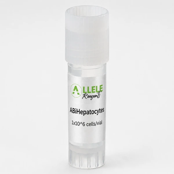 ABiHepatocytes