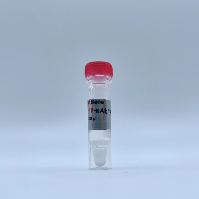 RFP-nAb™ Agarose 1ml