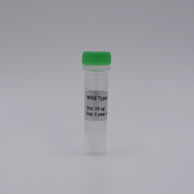 Wild Type Cas9 mRNA