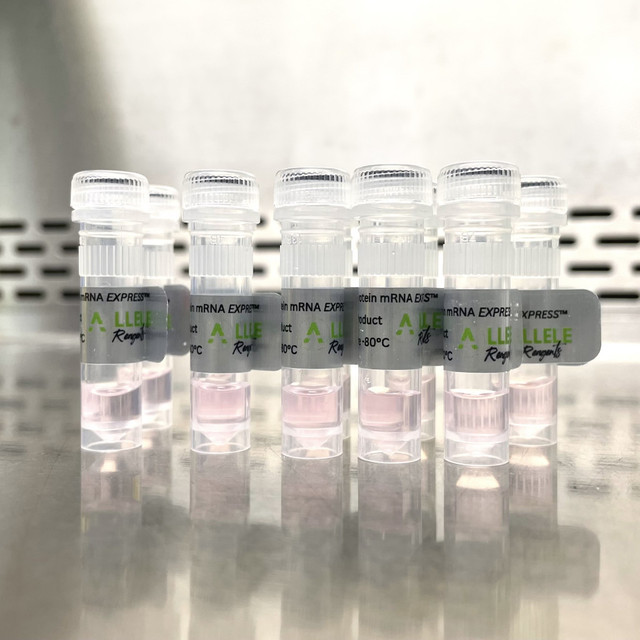 mNeonGreen Voltage Sensor mRNA EXPRESS™