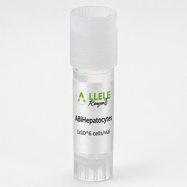 ABiHepatocytes