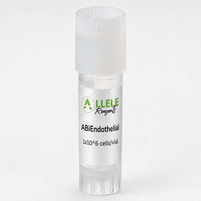 ABiEndothelial